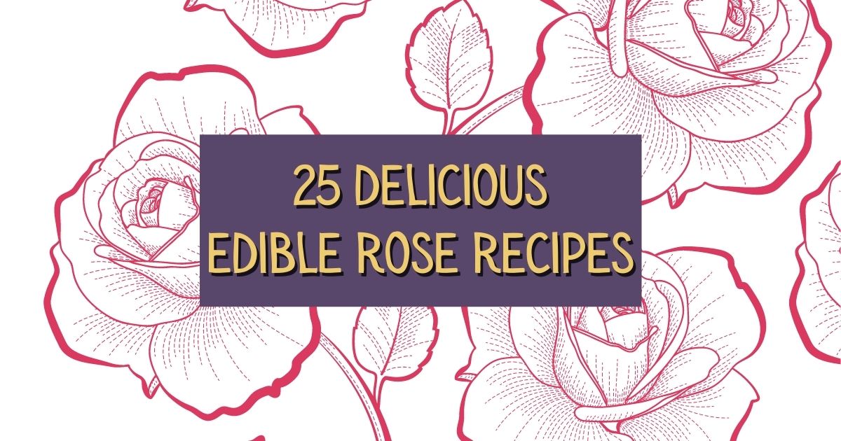 Delicious Rose-Infused Cupcakes