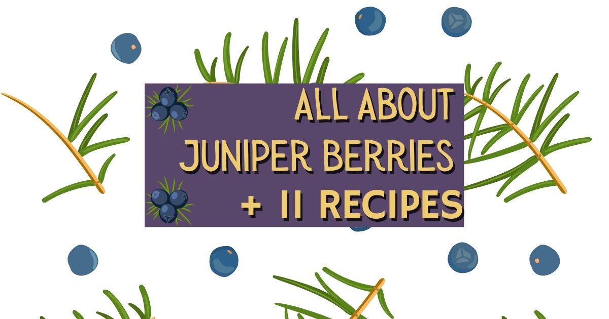 All About Juniper Berries + 11 Recipes - MOON and spoon and yum