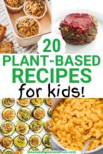 20+ Healthy Plant Based Recipes for Kids