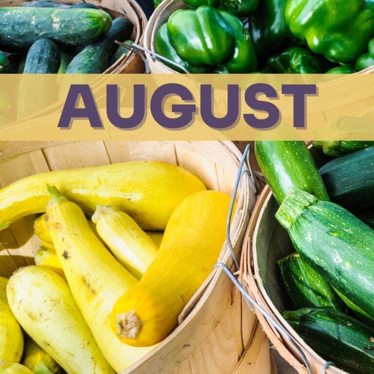What’s in Season? August Produce Guide