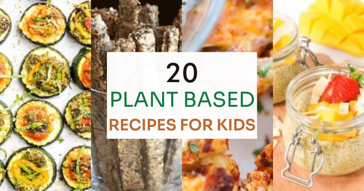 20 Plant Based Recipes for Kids MOON and spoon and yum
