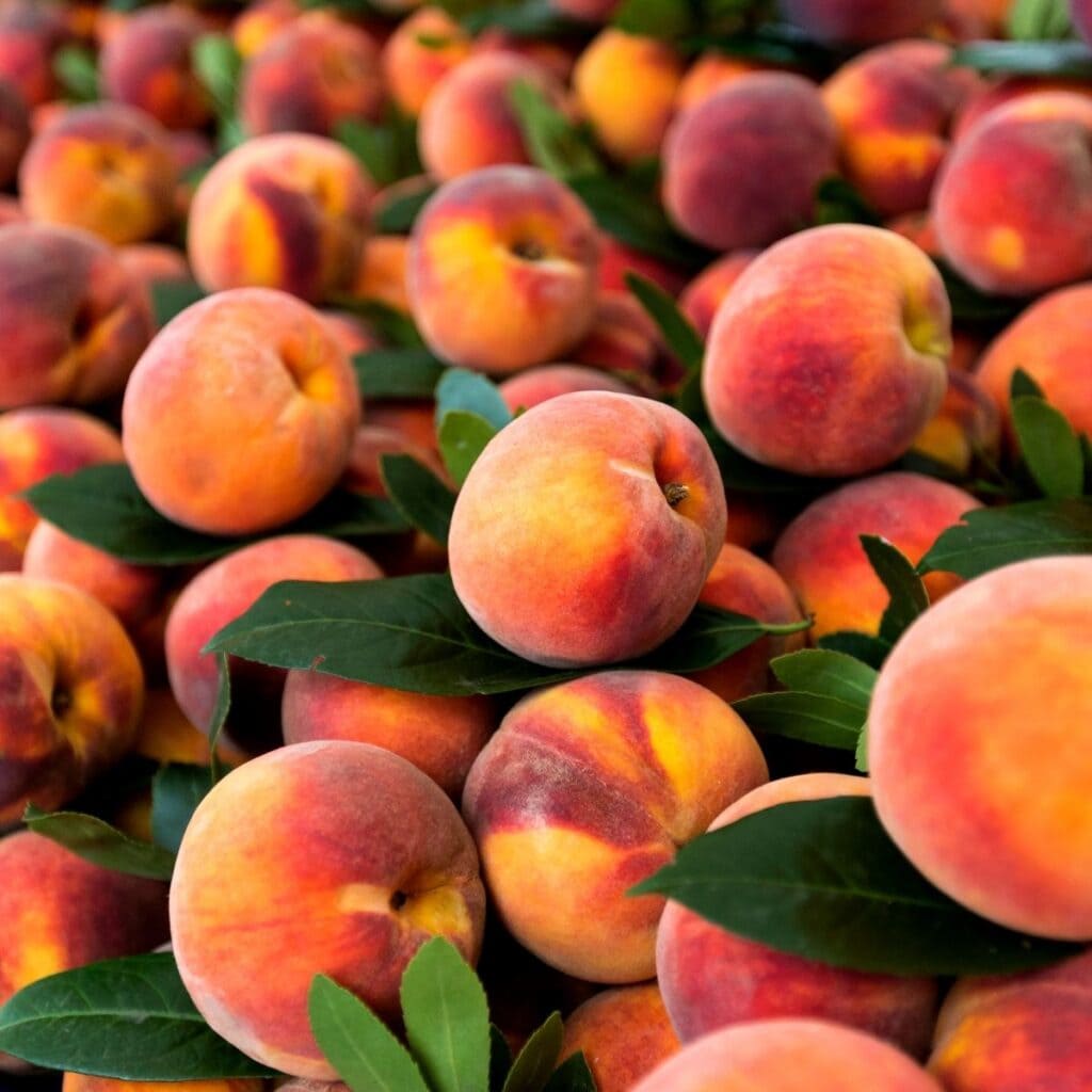 peaches