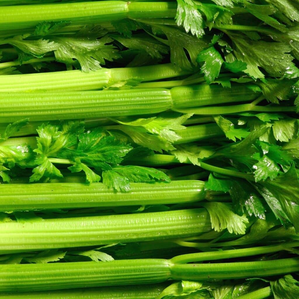 celery