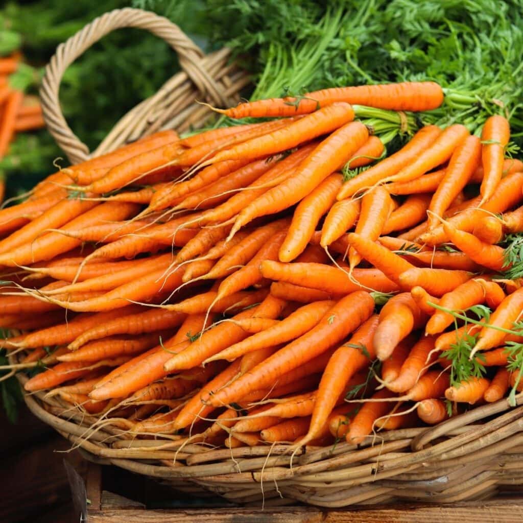 carrots