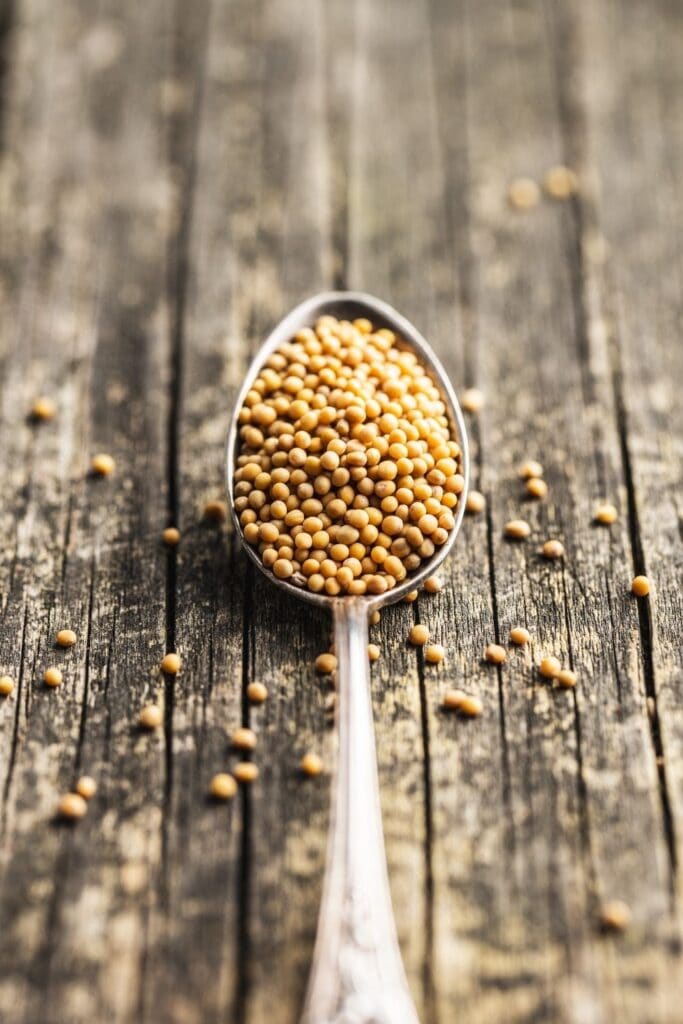 a silve spoon filled with yellow mustard seeds as a turmeric substitute