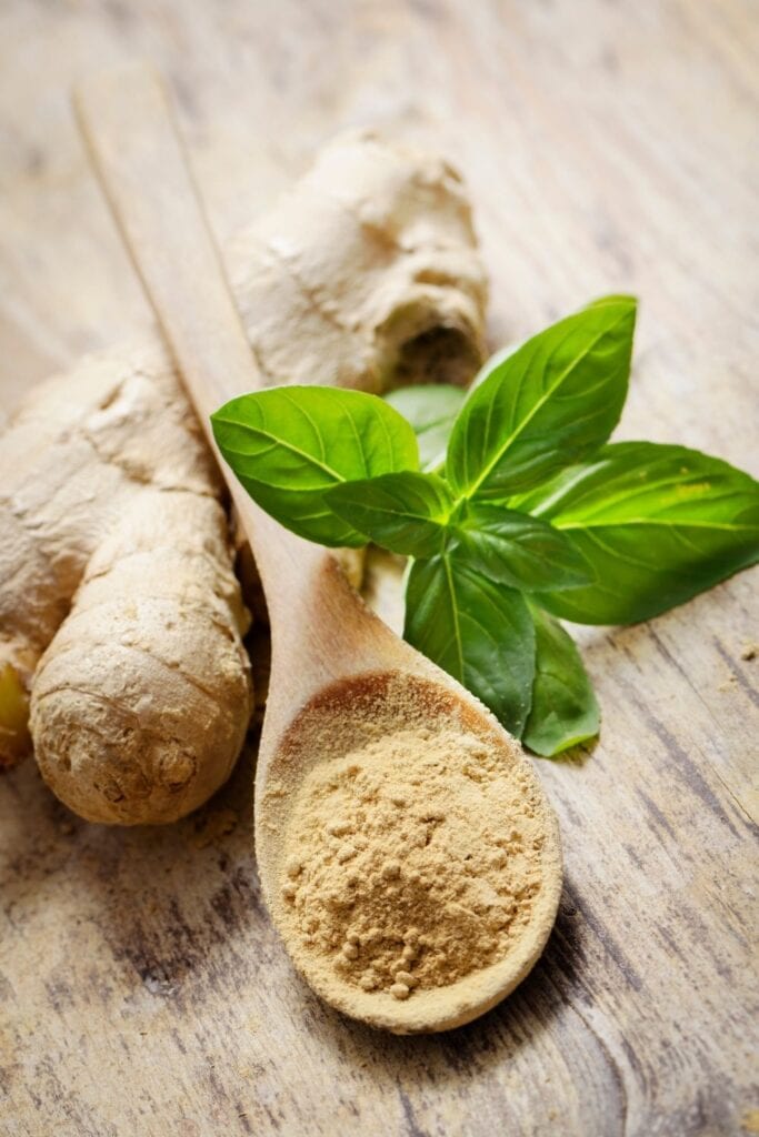 ginger root, ginger leaves and ginger powder as a substitute for turmeric root and ground turmeric