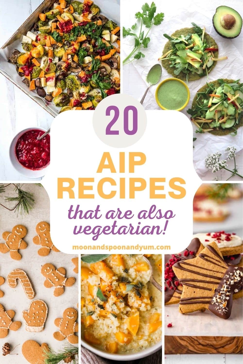 20 Vegetarian AIP Recipes