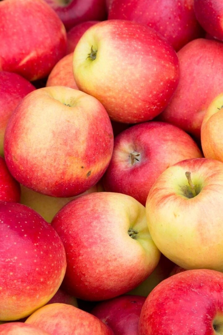 What's in Season? September Produce Guide