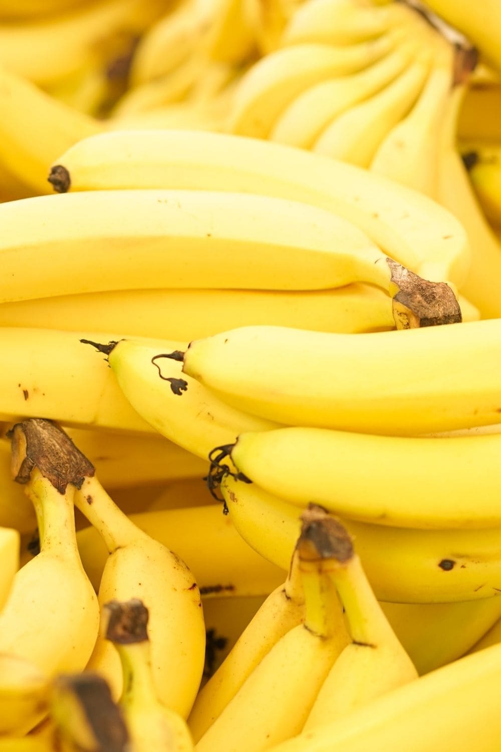 bunches of bright yellow bananas