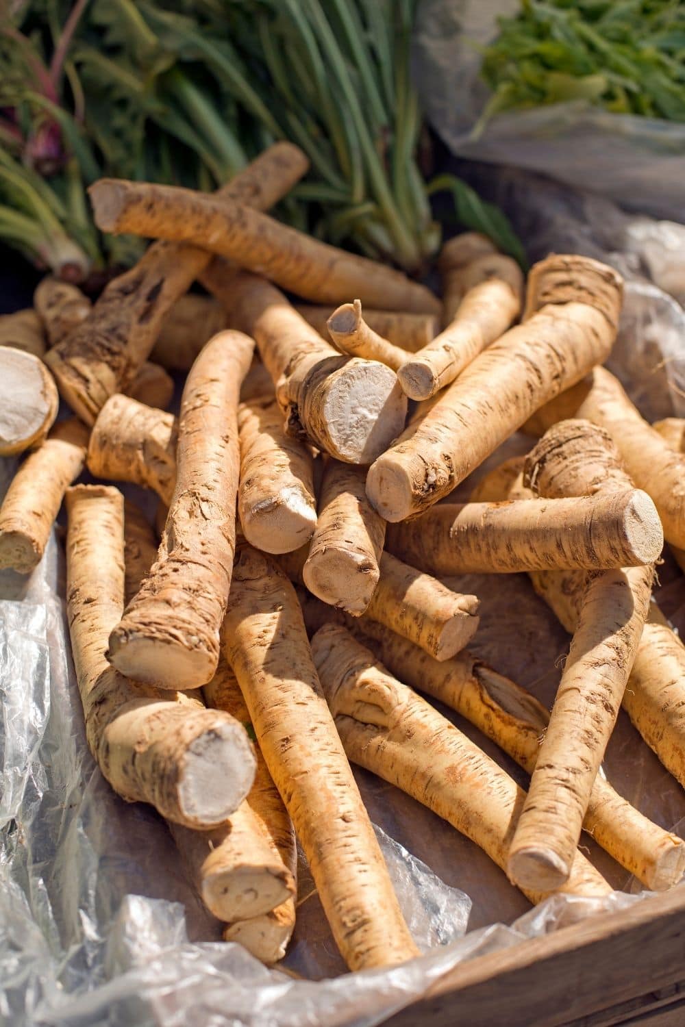 fresh horseradish root