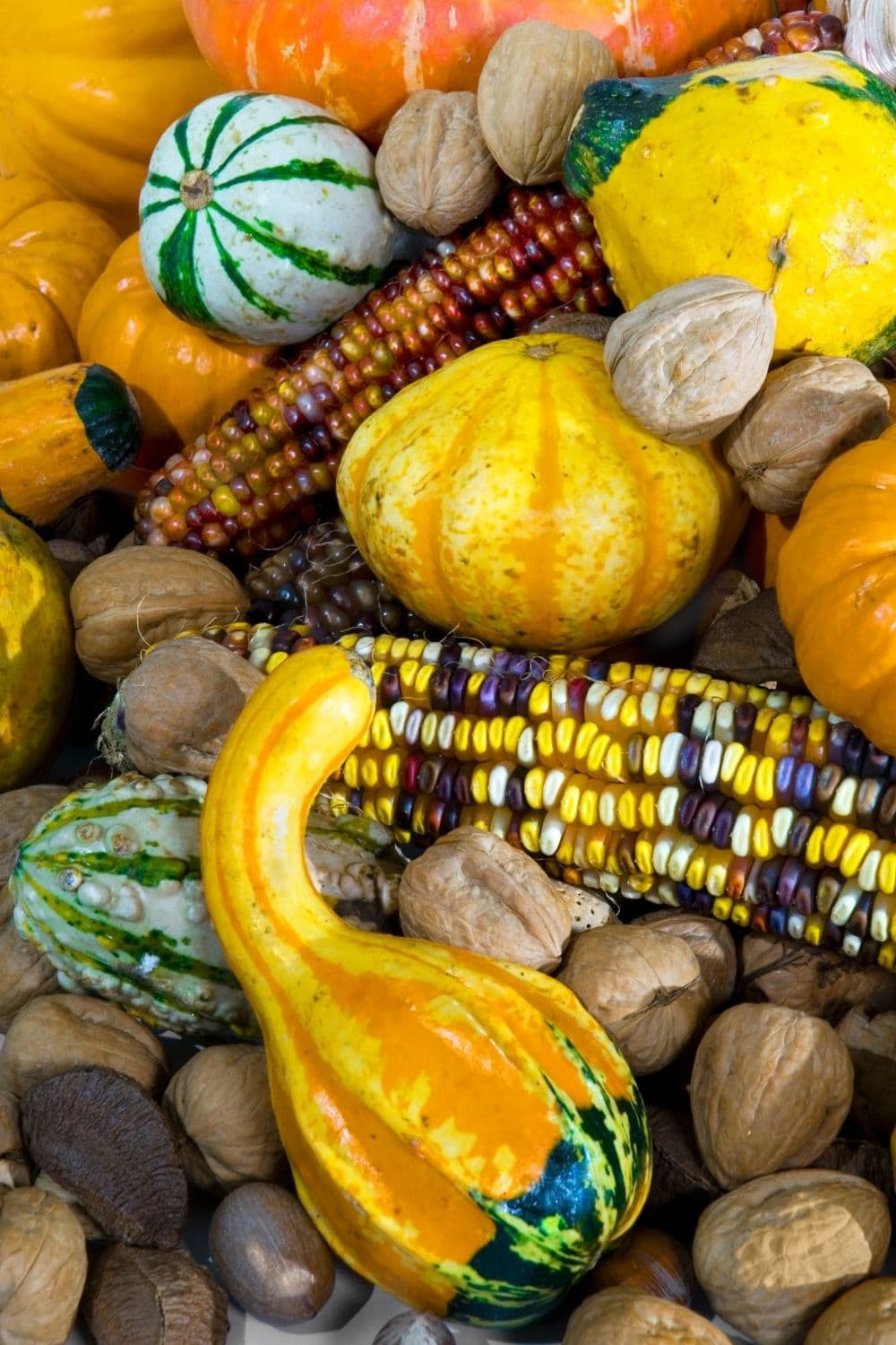 squash pumpkin corn