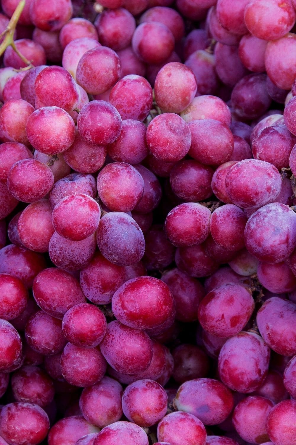 plump red grapes