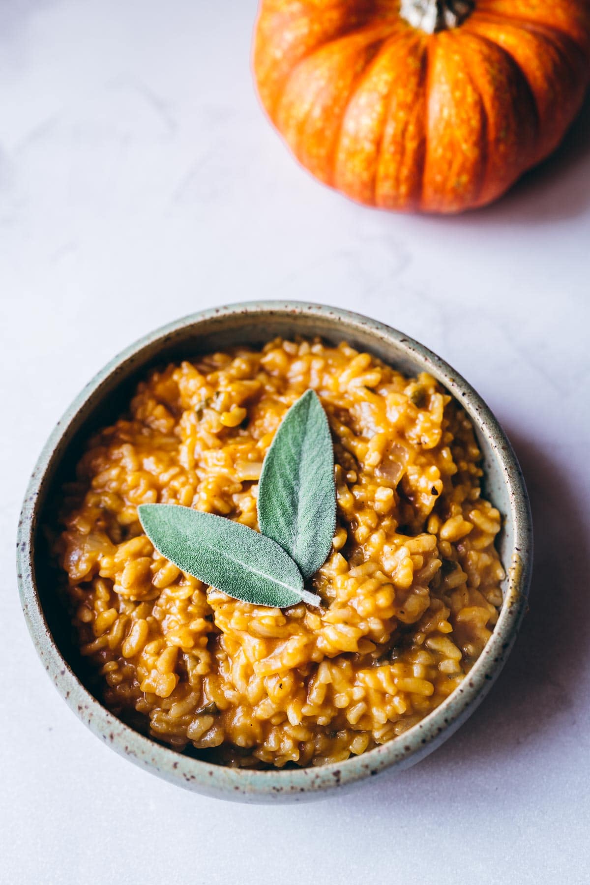 creamy pumpkin risotto made in the instant pot