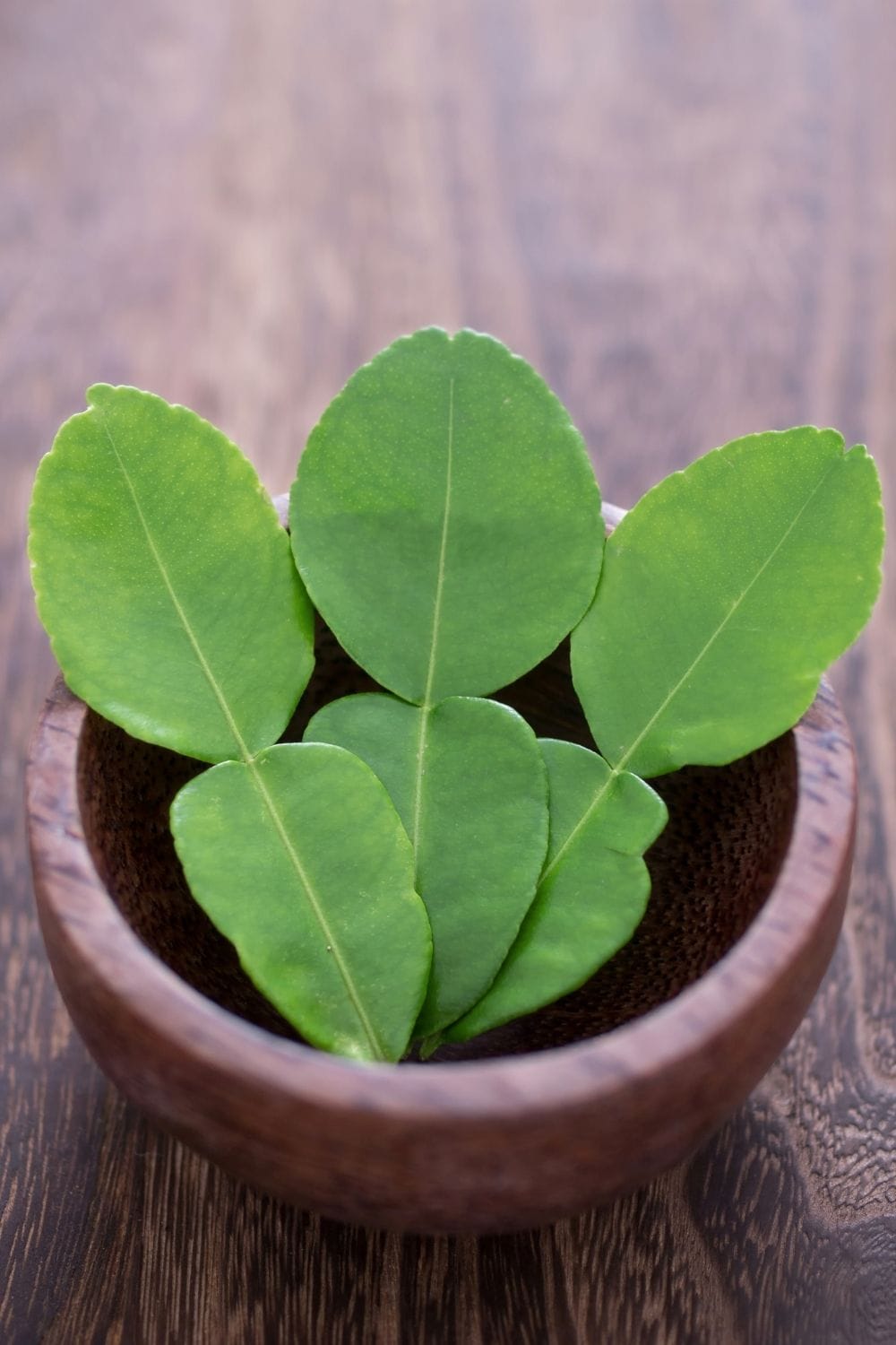 kaffir lime leaves make a great substitution for lemongrass