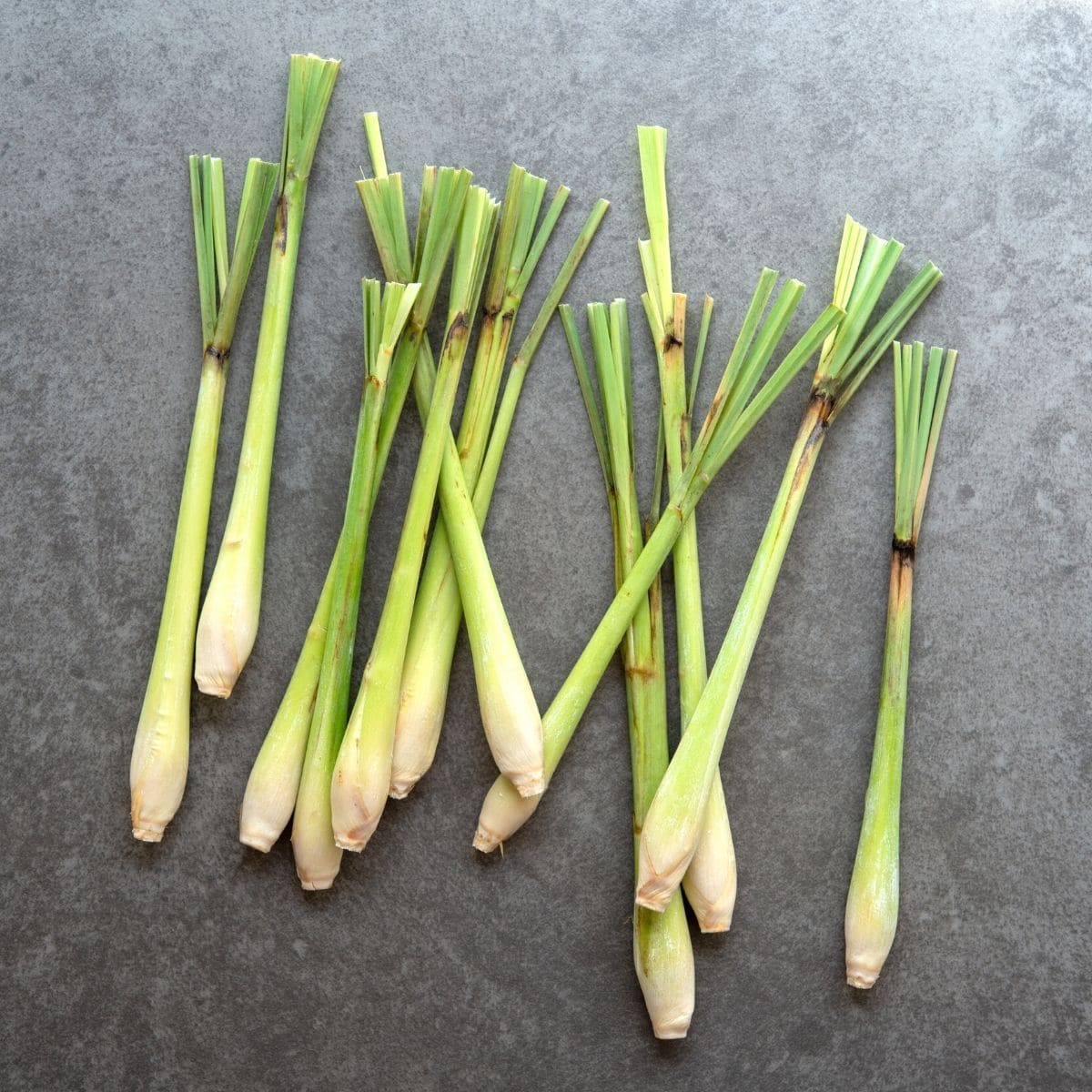 fresh lemongrass substitutes