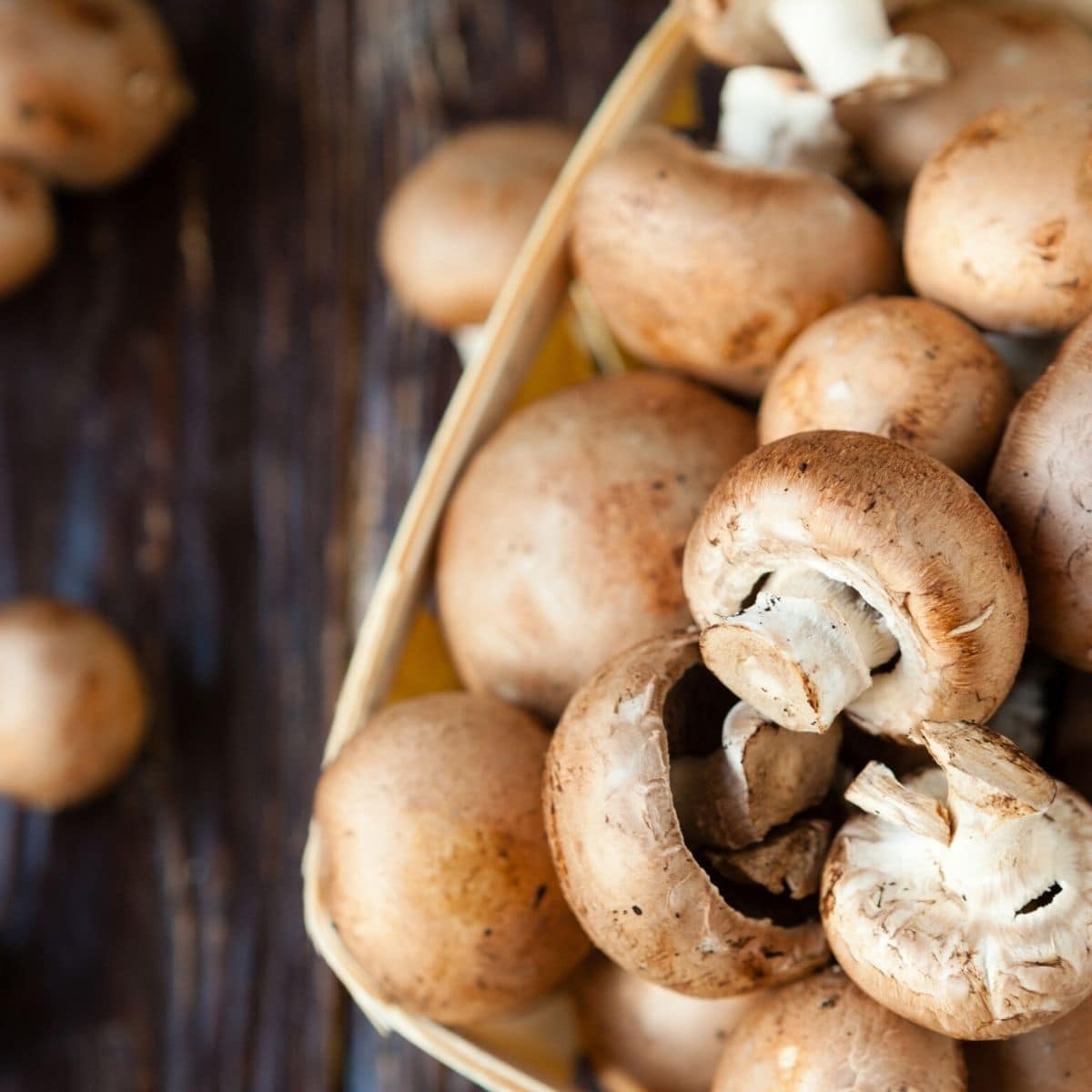 mushrooms substitutes and alternatives