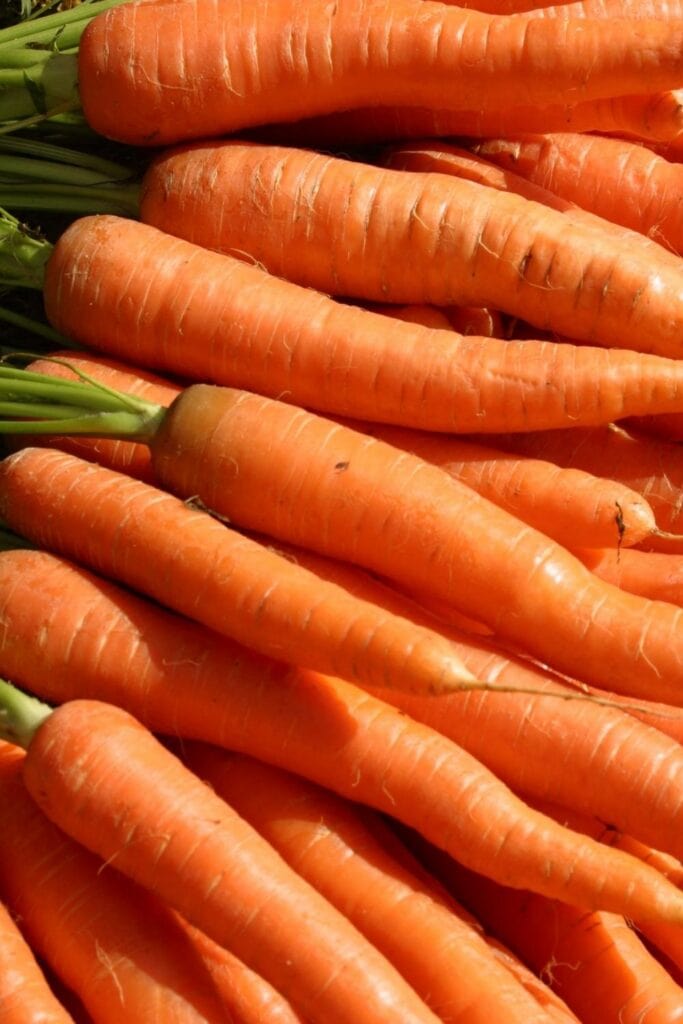 carrots