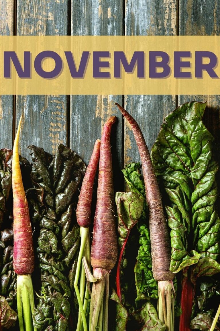 What's in Season? November Produce Guide