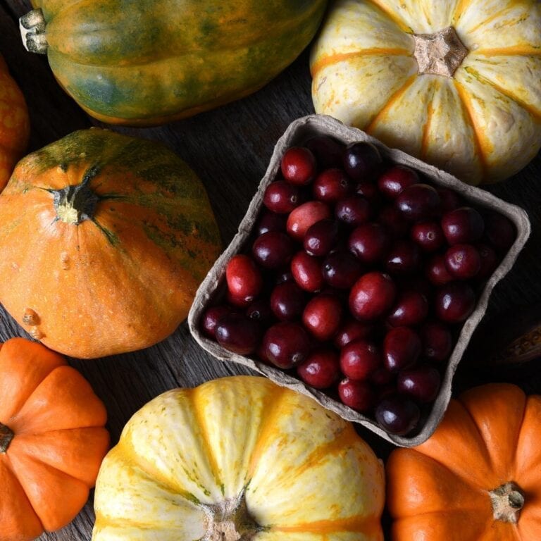 What’s in Season? November Produce Guide