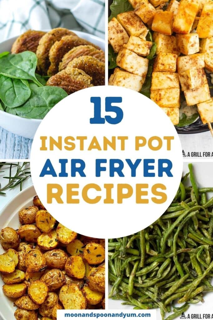 15+ Instant Pot Air Fryer Recipes - Kinda Healthy Recipes