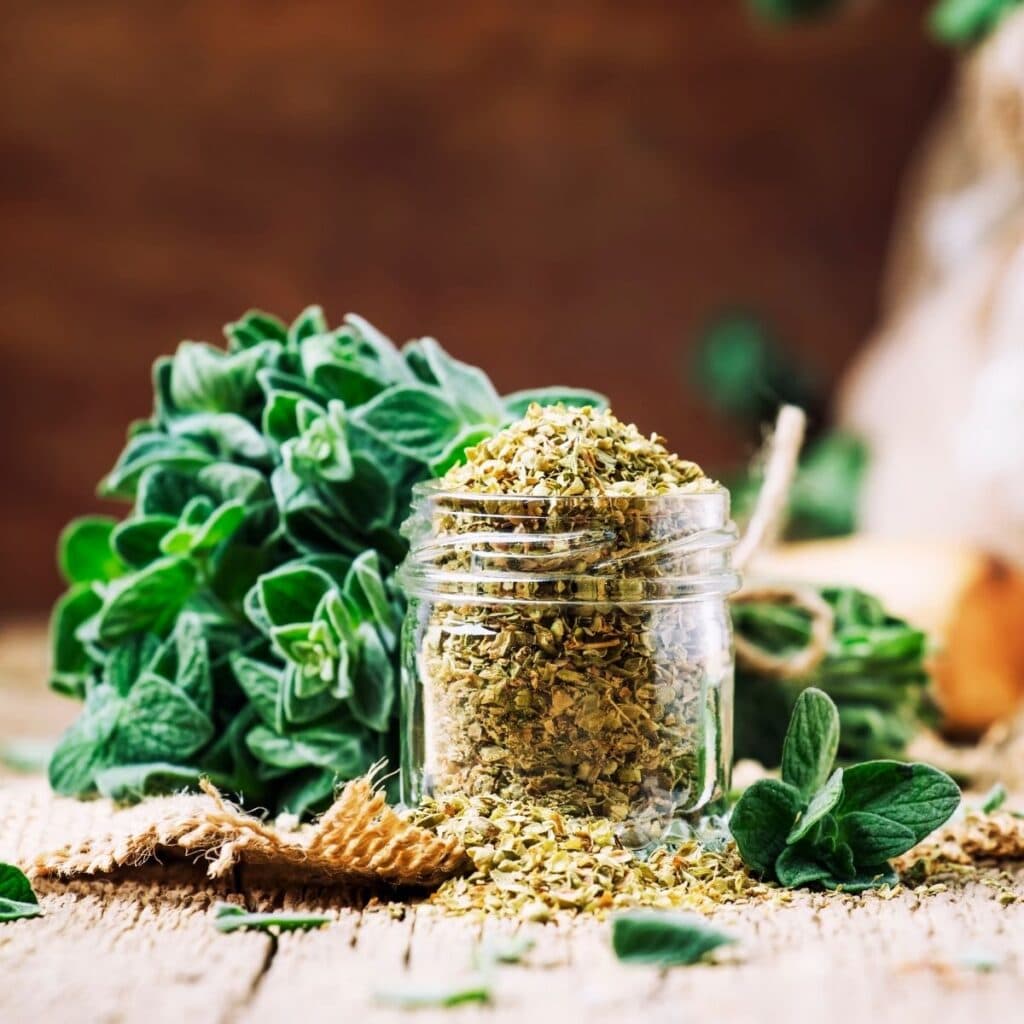 5 Best Oregano Substitutes - MOON And Spoon And Yum