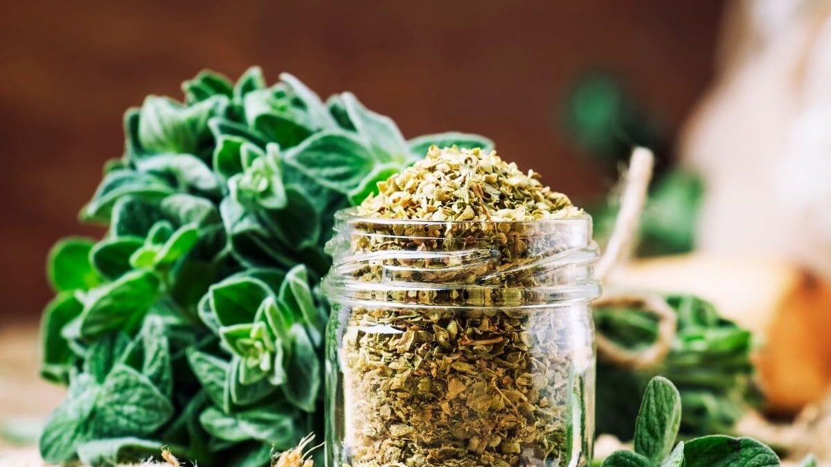 5 Best Oregano Substitutes - MOON and spoon and yum