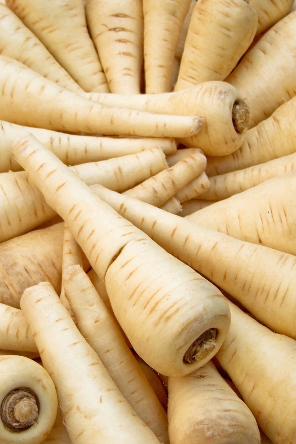 parsnips