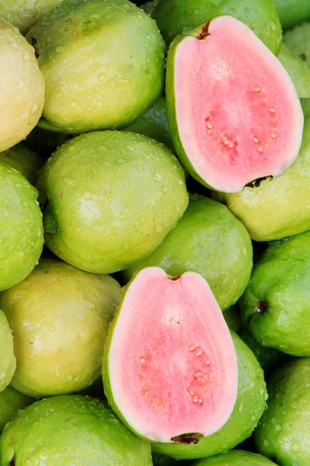 guava