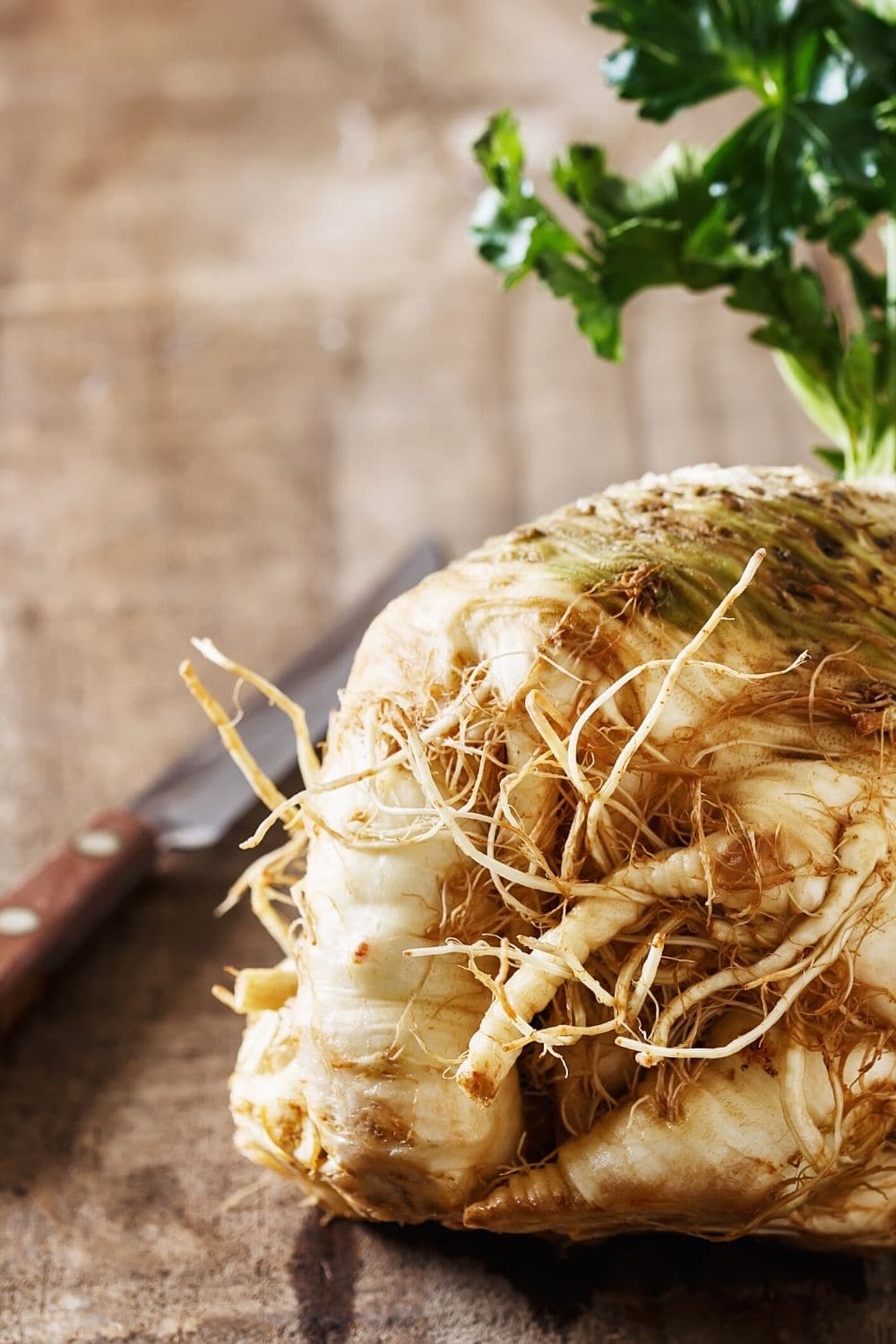 celeriac