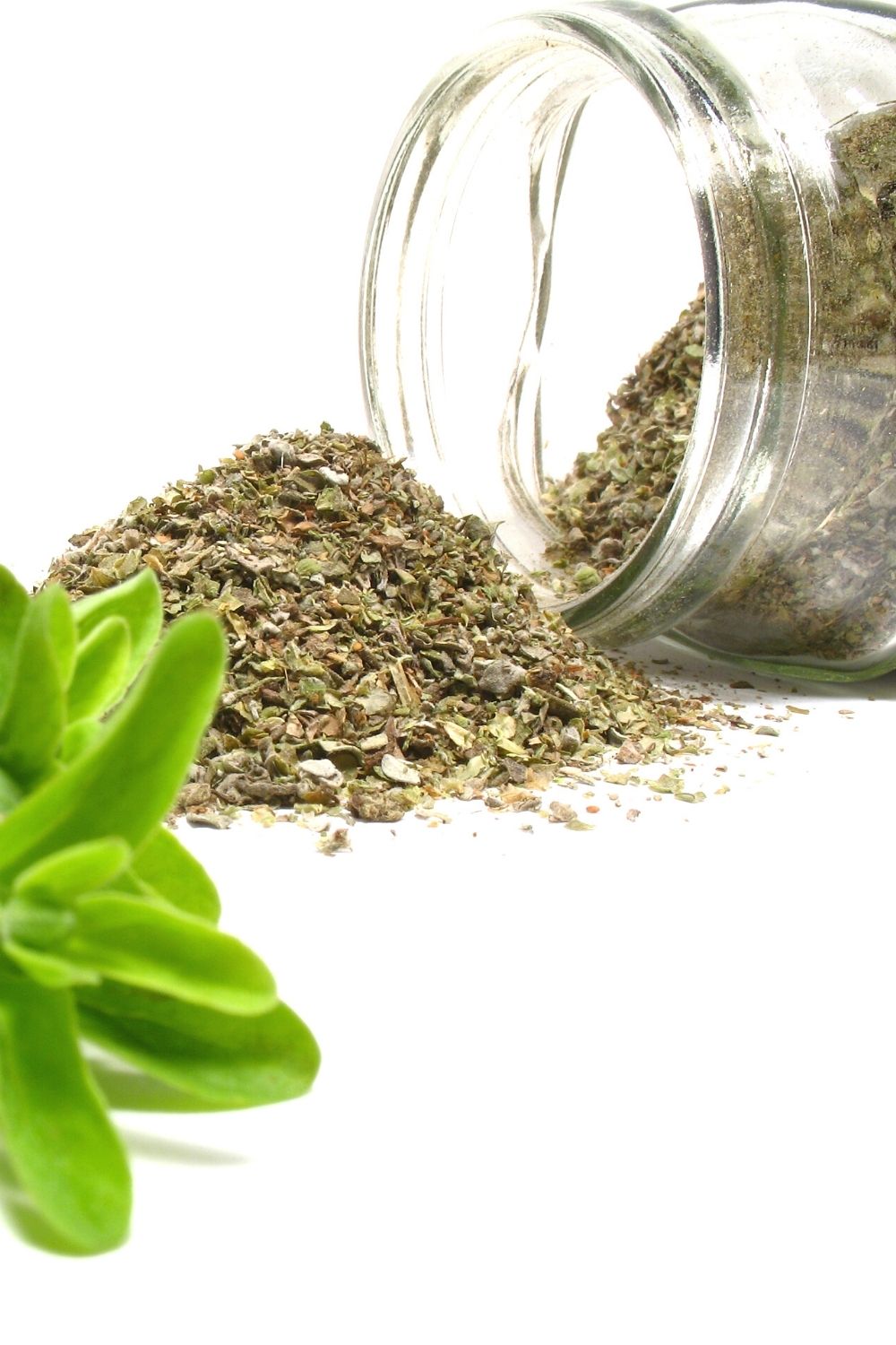 oregano alternative marjoram