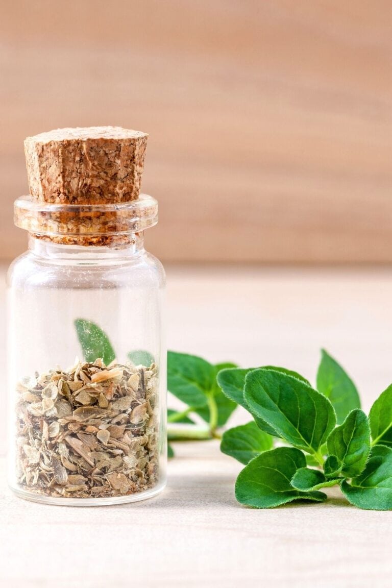 5 Best Oregano Substitutes MOON and spoon and yum