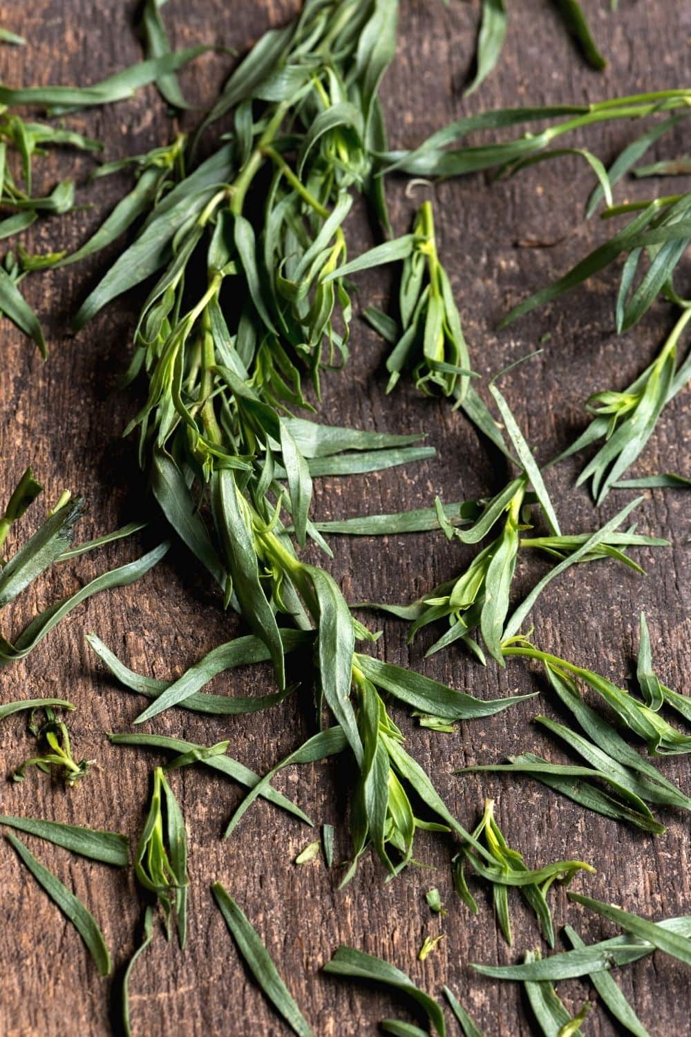 tarragon oregano substitutions