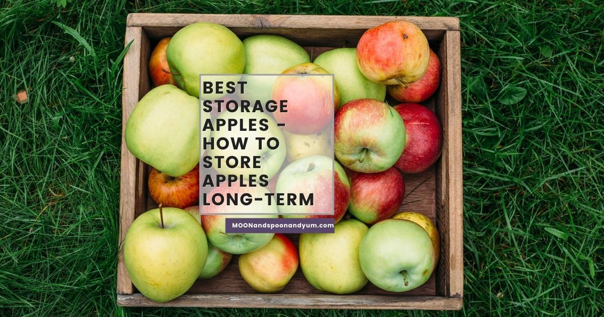 How to Store Apples So They Stay Fresher Longer