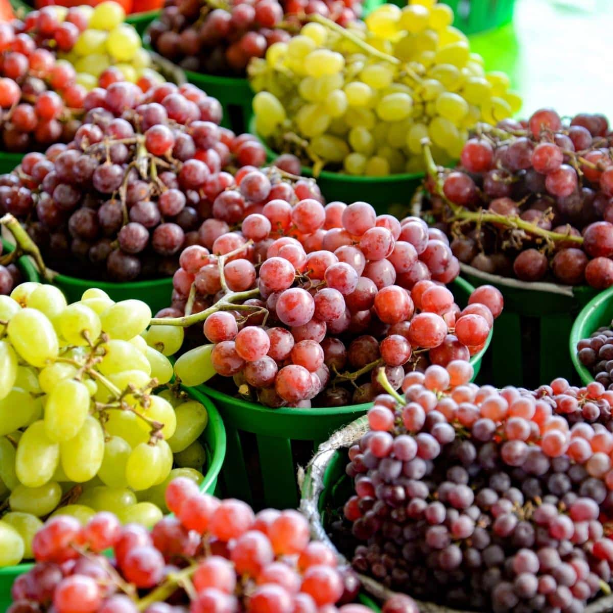 How Long Do Grapes Last? Fridge + Freezer