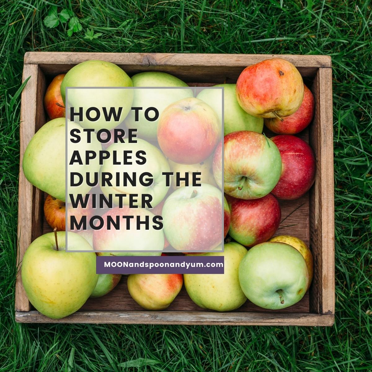 How to Store Apples So They Stay Fresher Longer