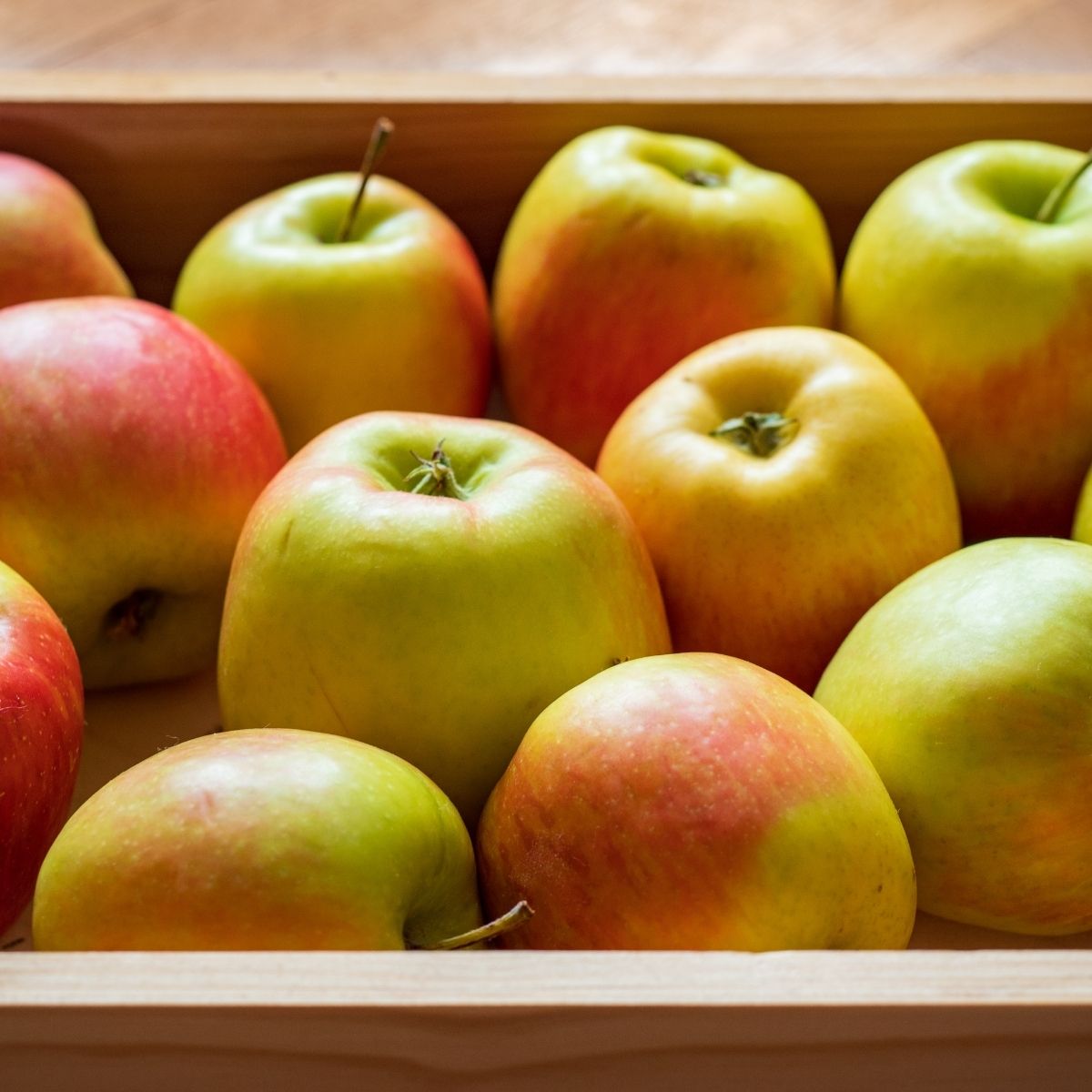 a close up of fresh mottled apples in a wooden crate.