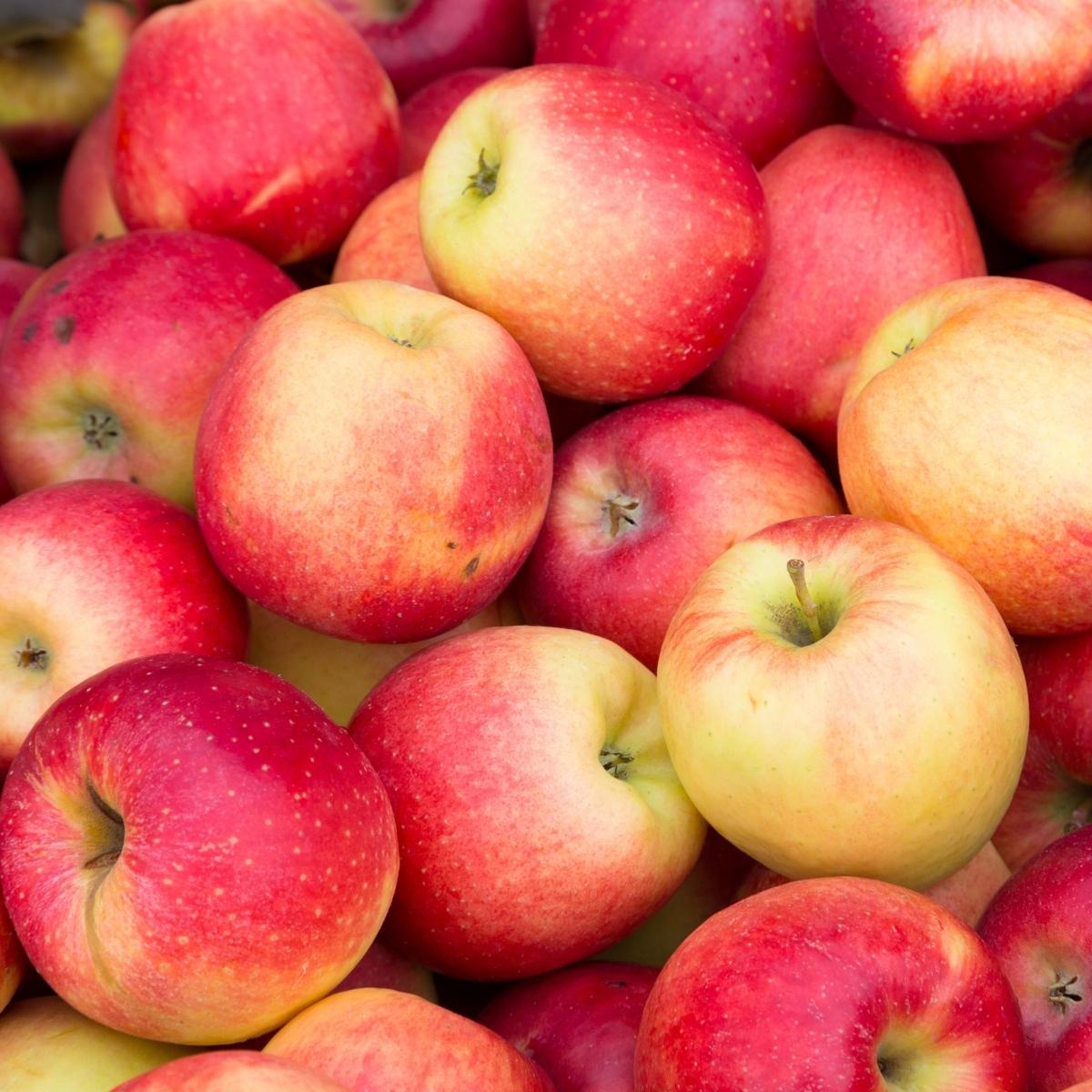 bright red apples up close.