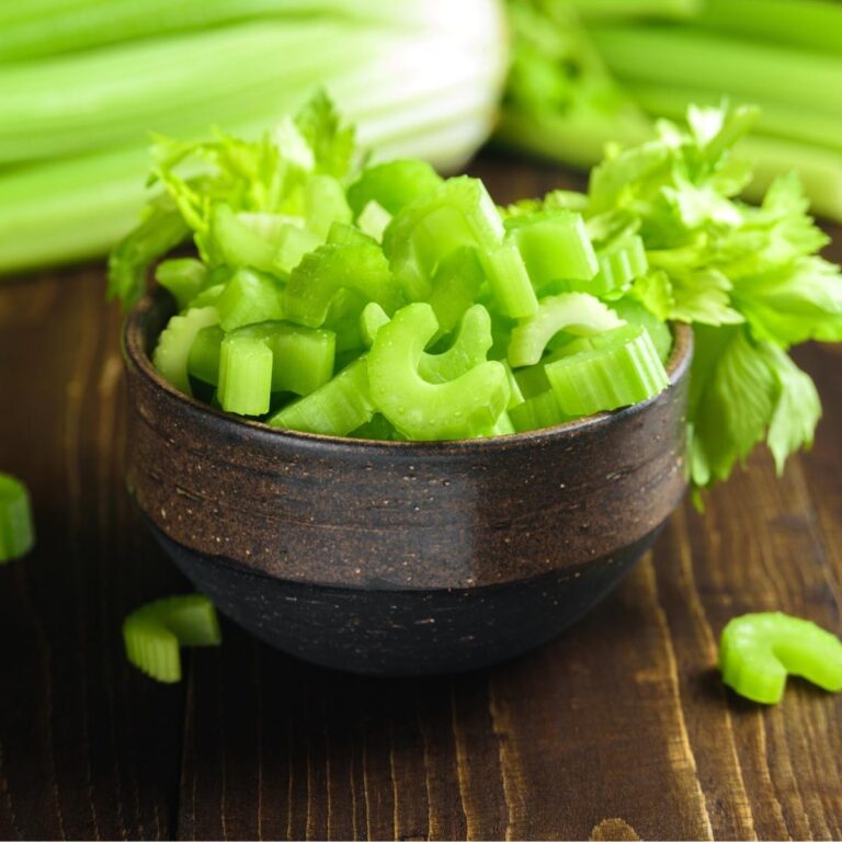 20 Best Celery Substitutes to Use in the Kitchen