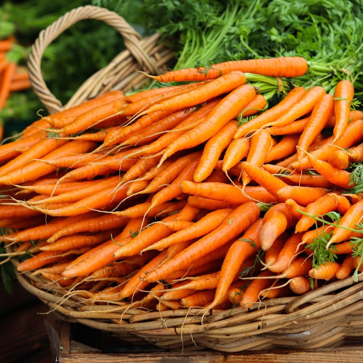 carrots as a substitute for celery.