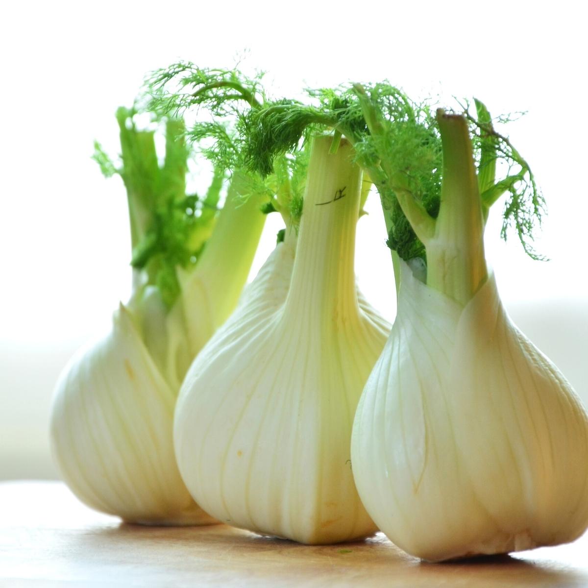 fennel as celery replacement.