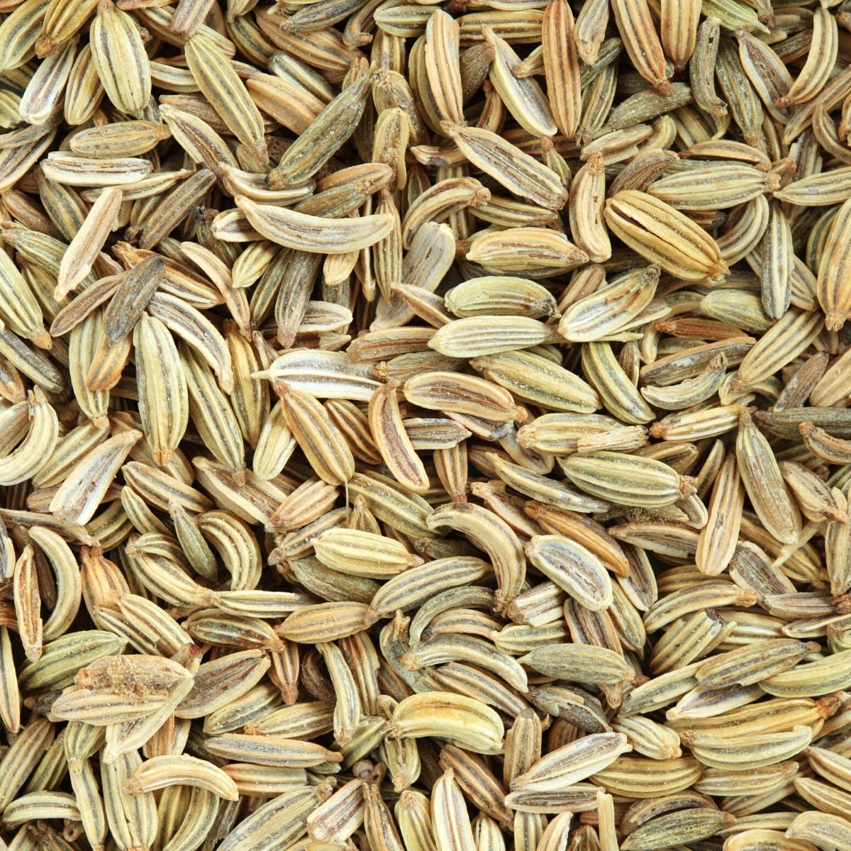 fennel seeds as celery seed substitute.