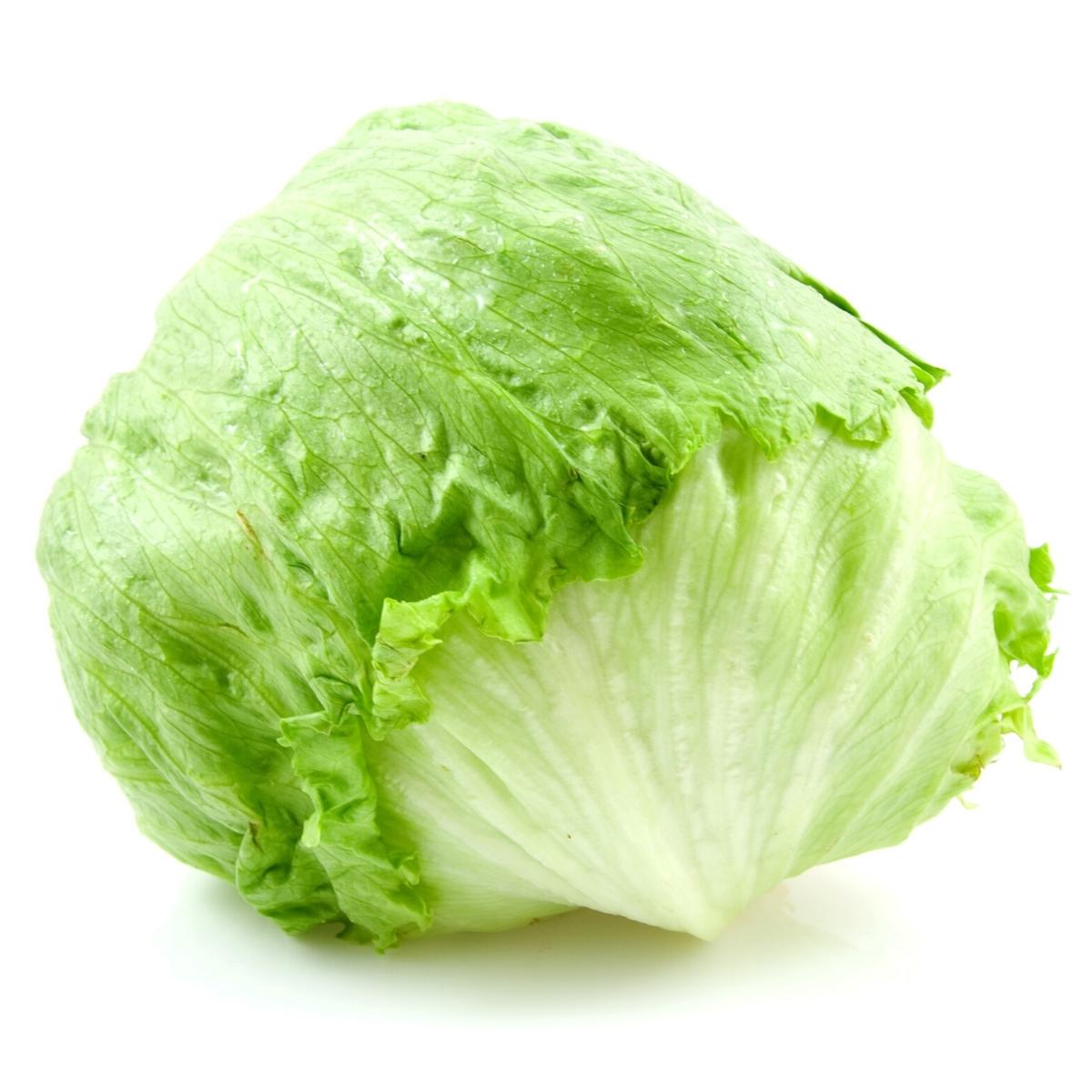 iceberg lettuce instead of celery.