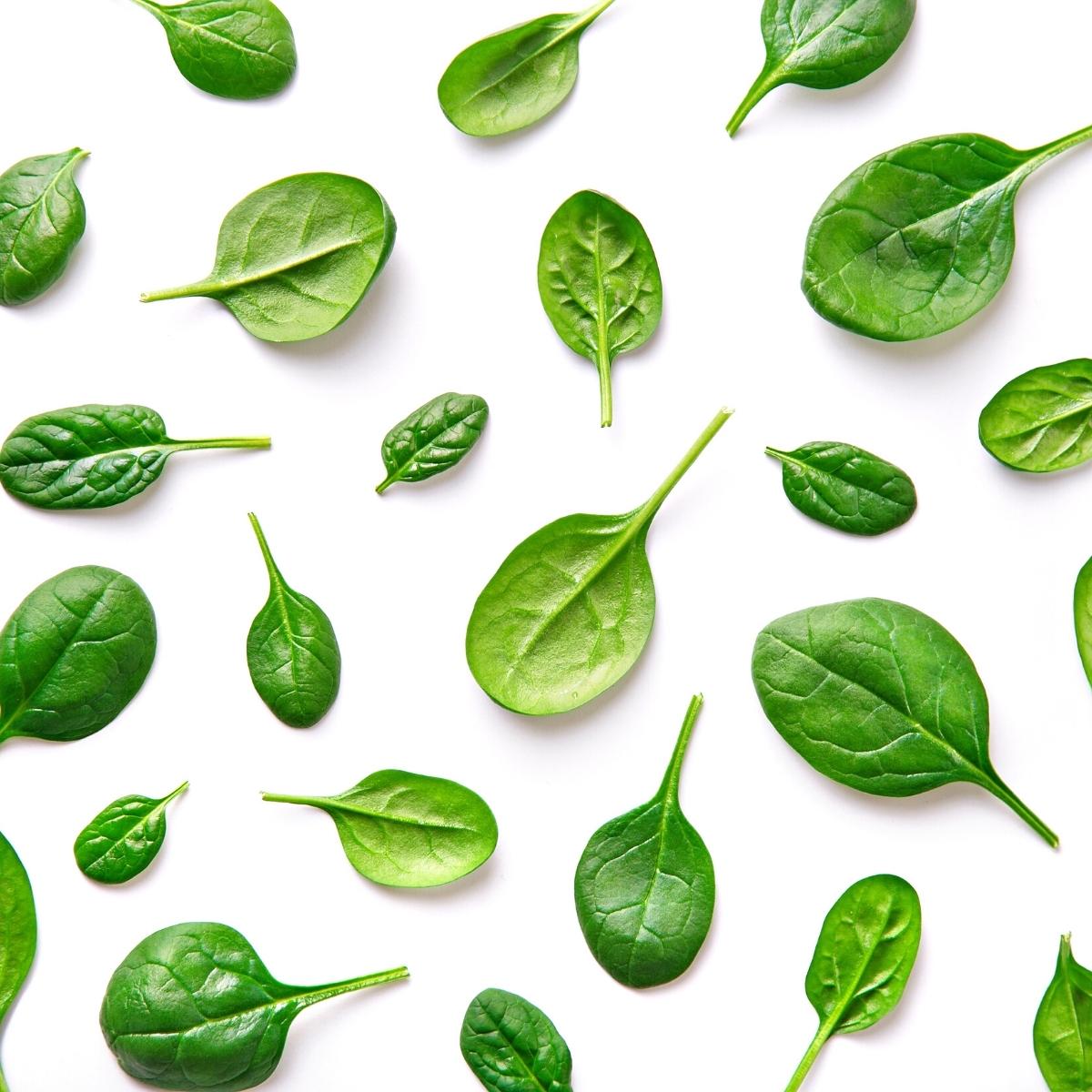 fresh spinach leaves as a celery replacement.