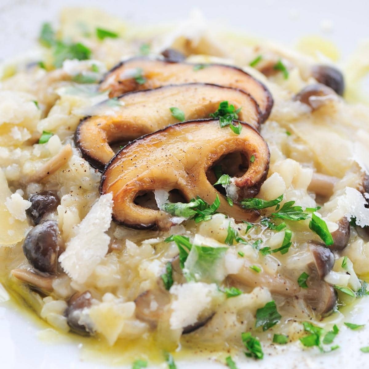 5 Best Mushrooms for Risotto