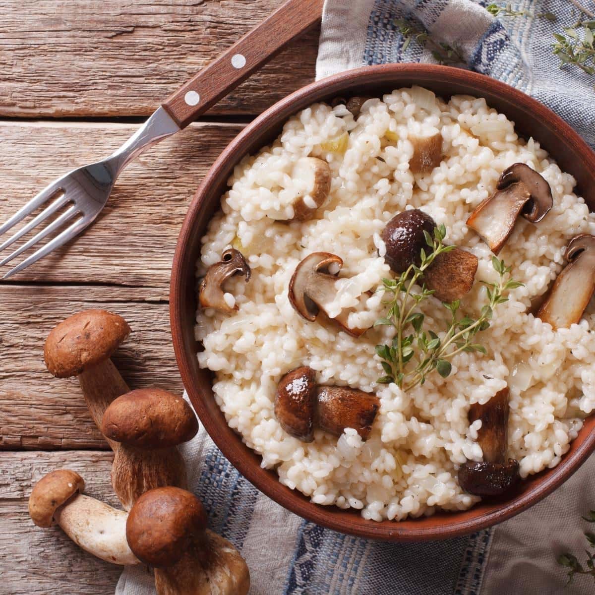 5 Best Mushrooms for Risotto