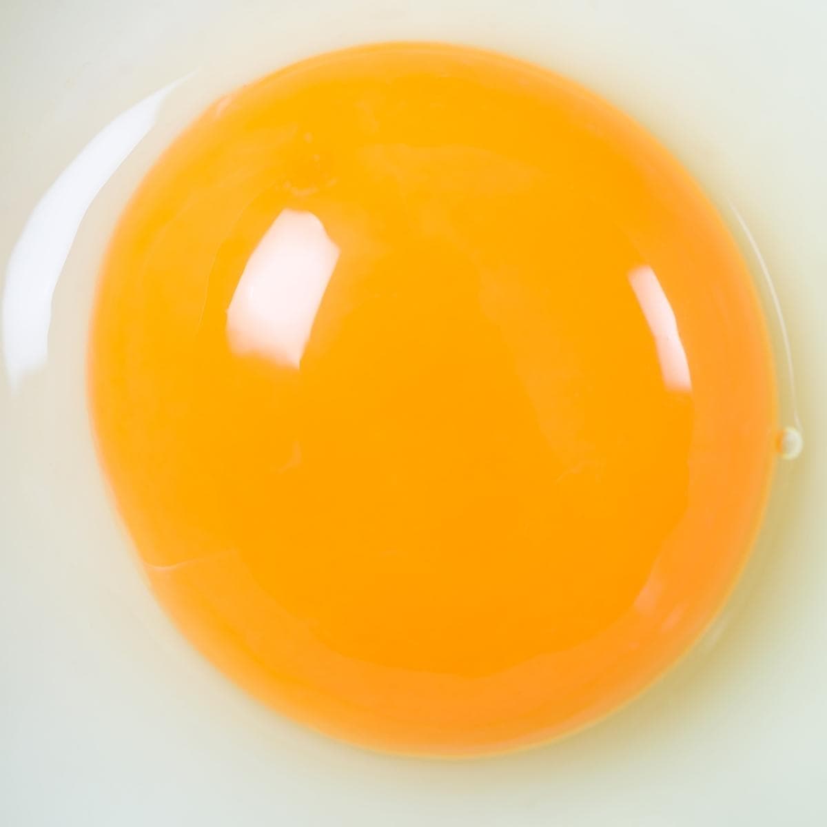 Yolk.