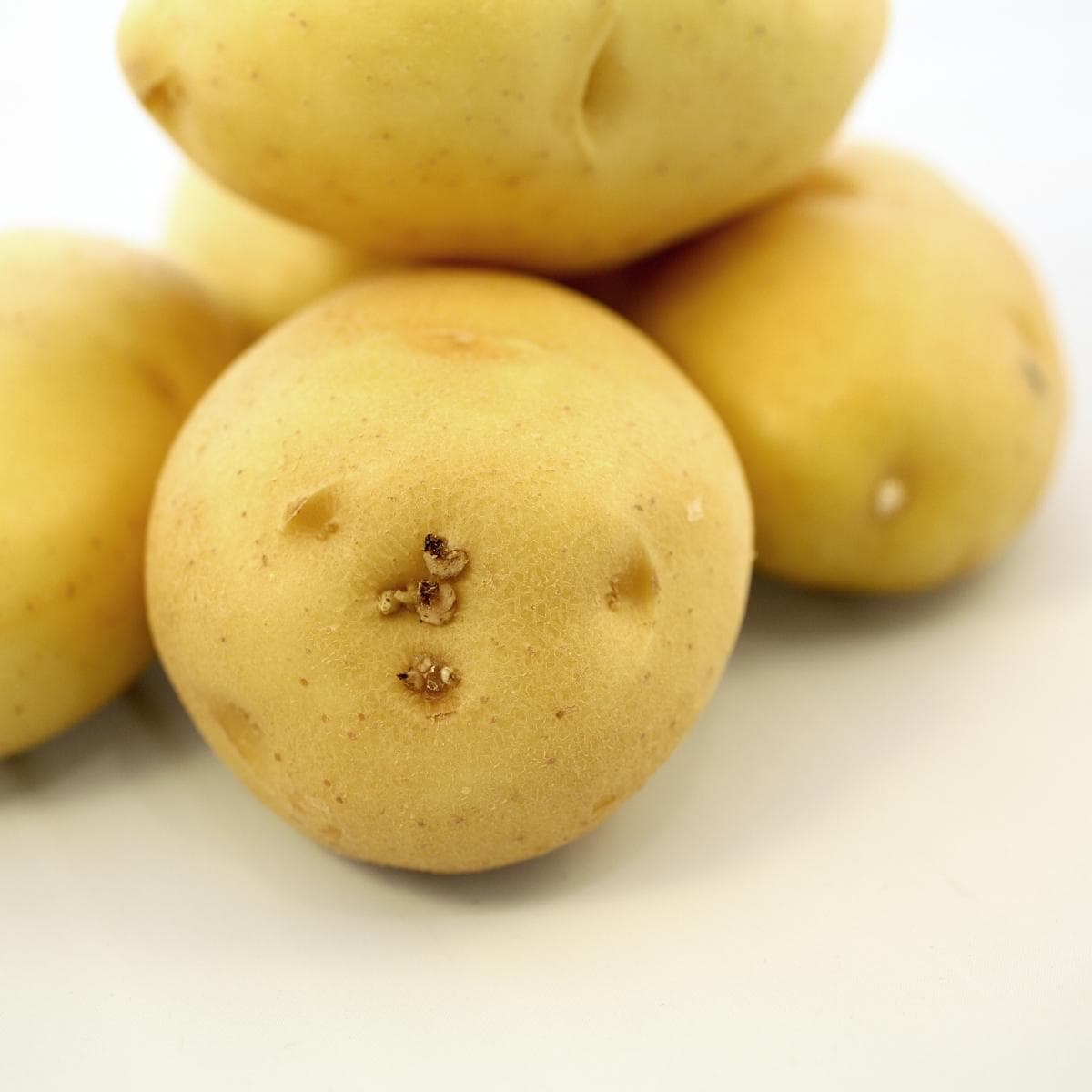 Yukon Gold Potatoes.