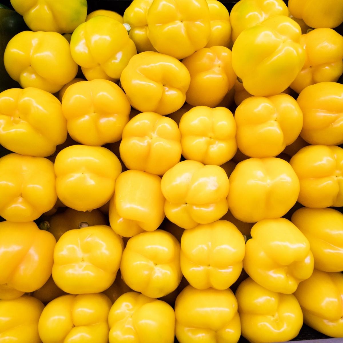 Yellow Pepper.