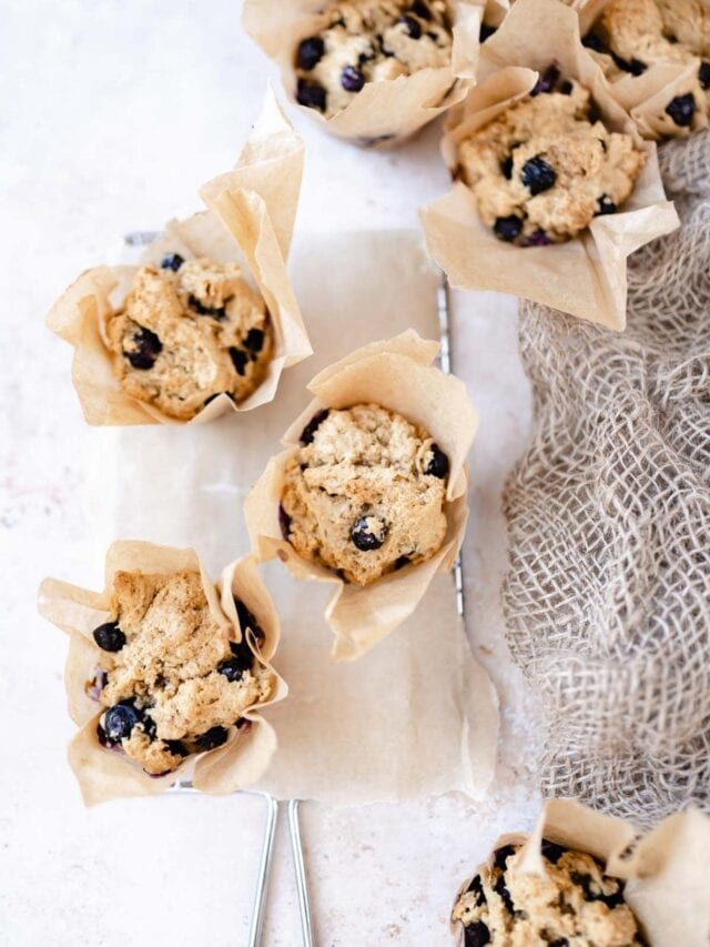 Dairy-Free Blueberry Muffin Recipe