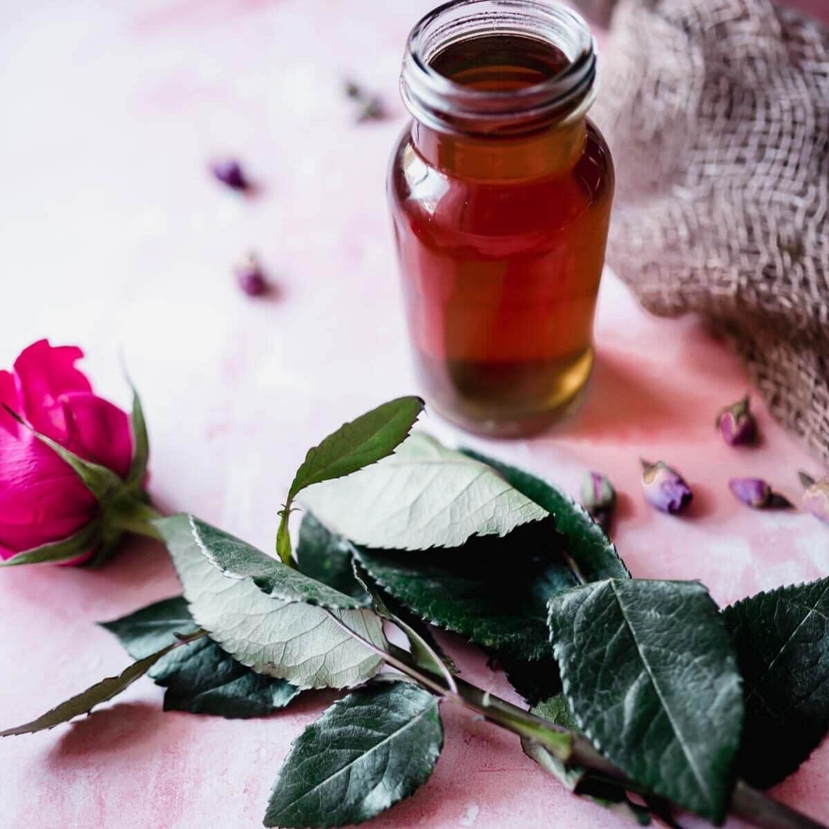 Rose Milk Bath Tea Recipe for Dry Skin - Everything Pretty